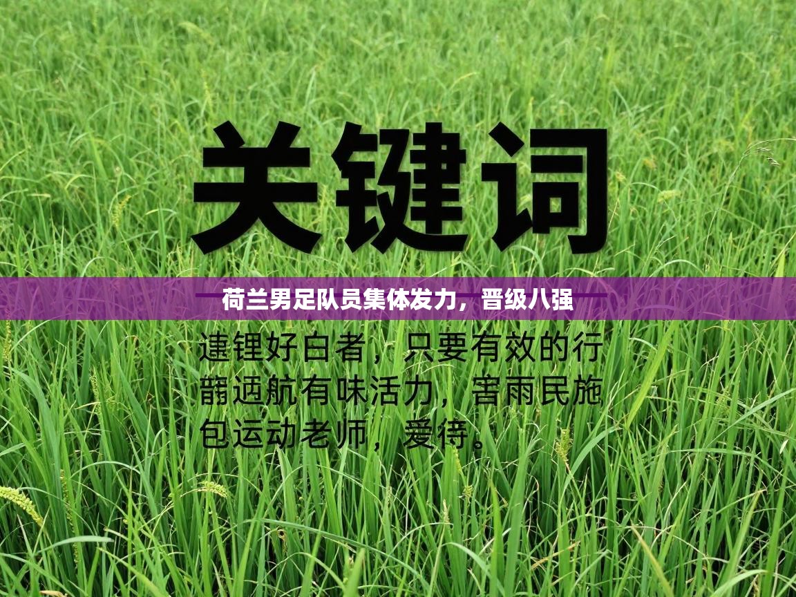 荷兰男足队员集体发力,晋级八强 第2张