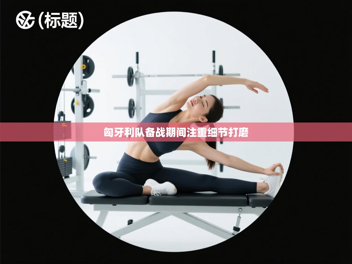 匈牙利队备战期间注重细节打磨  第2张