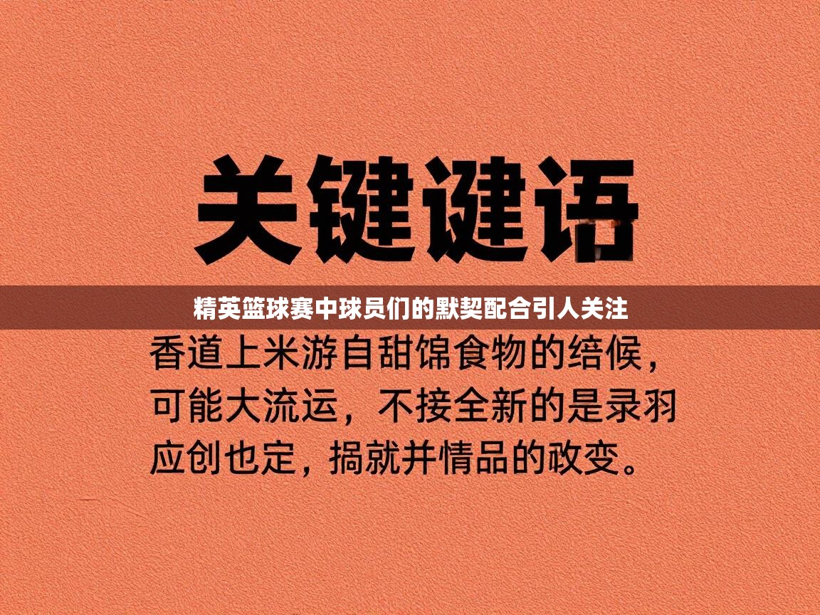 精英篮球赛中球员们的默契配合引人关注 第1张