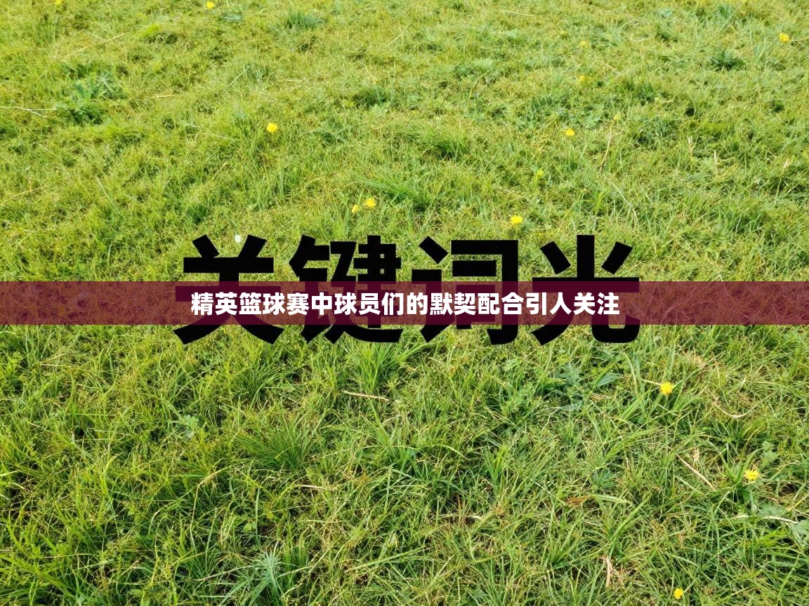 精英篮球赛中球员们的默契配合引人关注 第2张